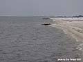 Guy Fanguy - Artist - Photographer - Guy Fanguy - Towns - Mississippi Gulfport (14).jpg Size: 41337 - 6